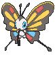 Beautifly front animated