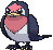Taillow front animated