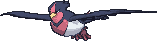 Swellow front animated