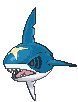 Sharpedo front animated