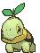 Turtwig front animated