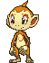 Chimchar front animated