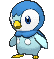 Piplup front animated