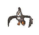 Staravia front animated