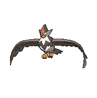 Staraptor front animated