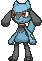 Riolu front animated