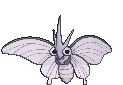 Venomoth front animated