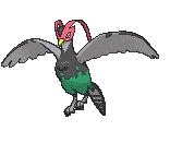Unfezant front animated