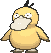 Psyduck front animated