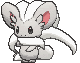 Cinccino front animated