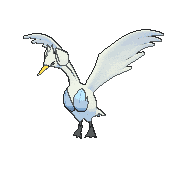 Swanna front animated