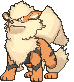 Arcanine front animated