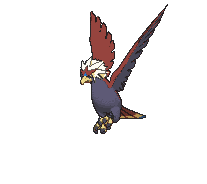 Braviary front animated