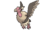 Mandibuzz front animated