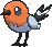 Fletchling front animated