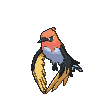 Fletchinder front animated