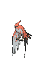 Talonflame front animated