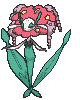 Red Florges front animated