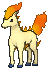 Ponyta front animated