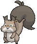 Skwovet front animated