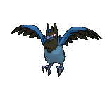 Corvisquire front animated