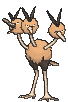 Dodrio front animated