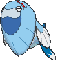 Arctovish front animated