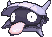 Shellder front animated