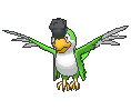 Green Plumage Squawkabilly front animated