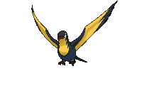 Kilowattrel front animated