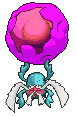Rabsca front animated