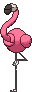 Flamigo front animated
