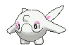 Cetoddle front animated