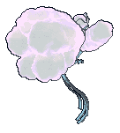 Mega Altaria back animated