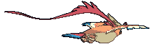Mega Pidgeot back animated