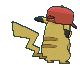 Partner Pikachu back animated