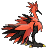 Galarian Zapdos back animated