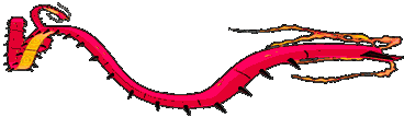 Gigantamax Centiskorch back animated