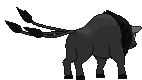 Paldean Tauros (Combat Breed) back animated