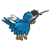 Blue Plumage Squawkabilly back animated