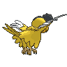 Yellow Plumage Squawkabilly back animated