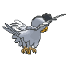 White Plumage Squawkabilly back animated