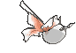 Goldeen back animated