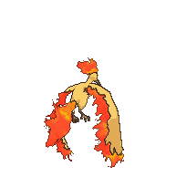 Moltres back animated