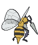 Beedrill back animated