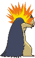 Typhlosion back animated