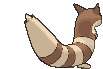 Furret back animated