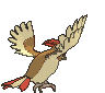 Pidgeotto back animated