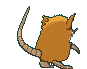 Raticate back animated
