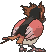 Spearow back animated